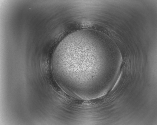 X0000054430608200508051834