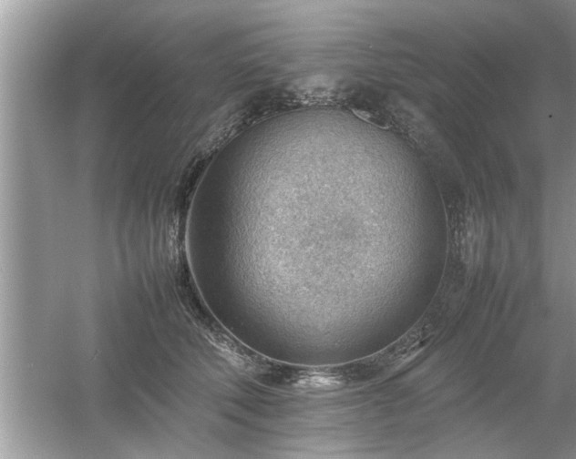 X0000054430610200508051834