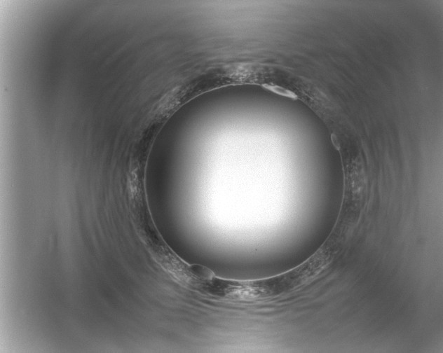 X0000054430611200508051834