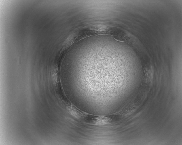 X0000054430612200508051834