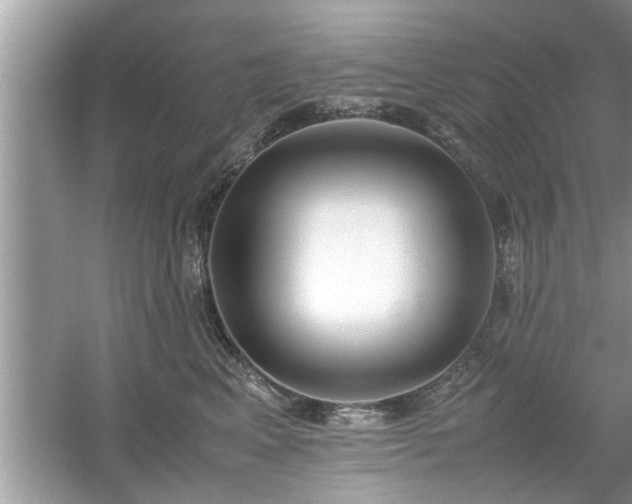 X0000054430617200508051834