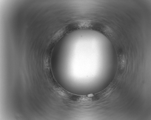 X0000054430619200508051834