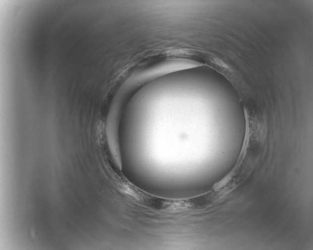 X0000054430621200508051834