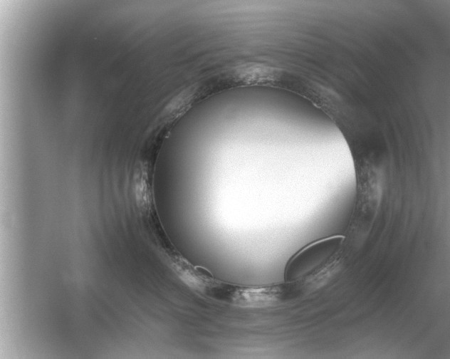 X0000054430622200508051834