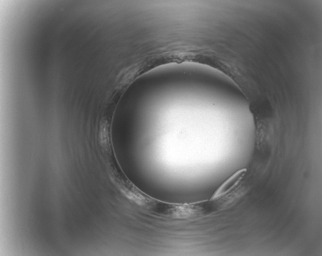 X0000054430623200508051834