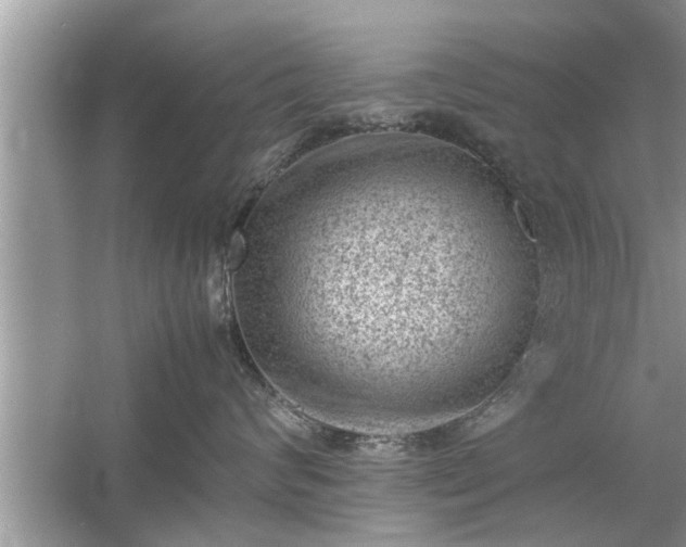 X0000054430624200508051834