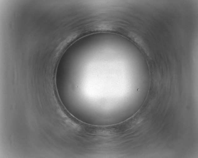 X0000054430625200508051833