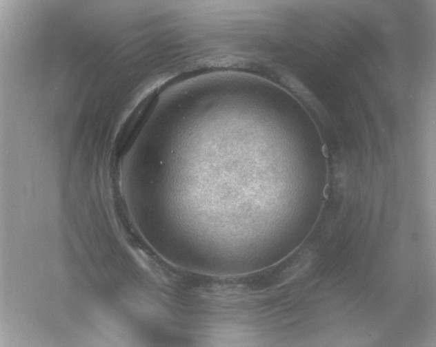 X0000054430626200508051833