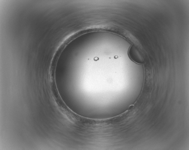 X0000054430628200508051833