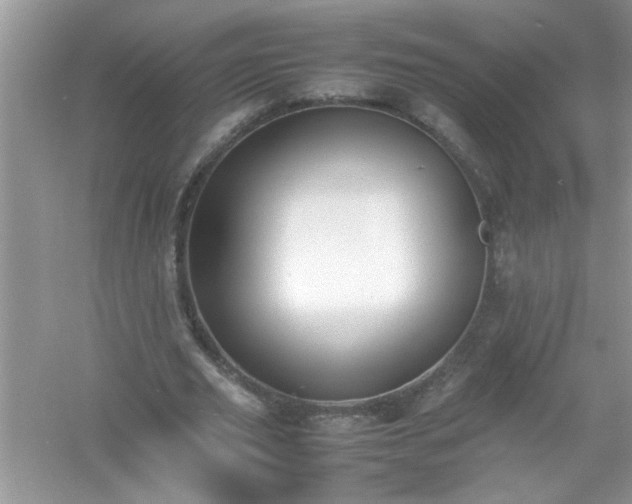 X0000054430629200508051833