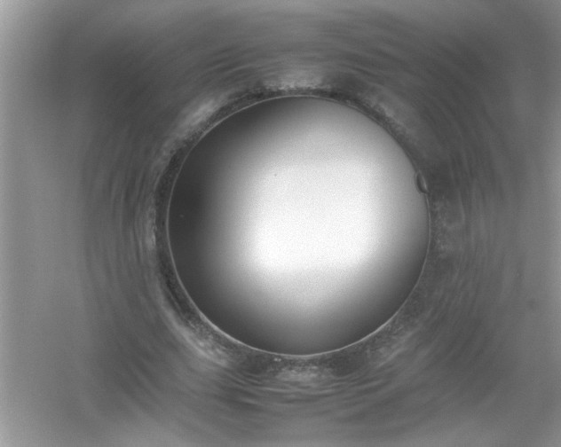 X0000054430631200508051833