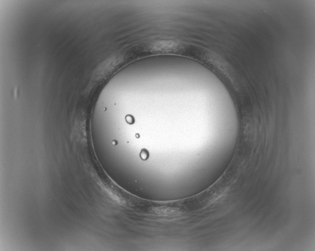 X0000054430633200508051833