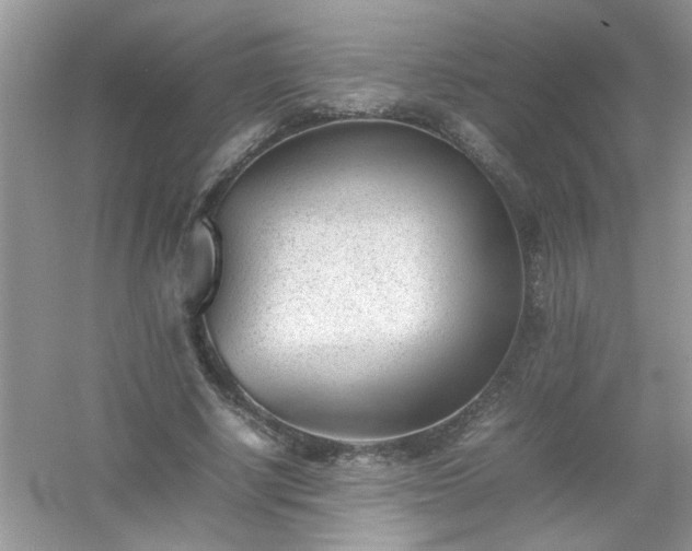 X0000054430634200508051833