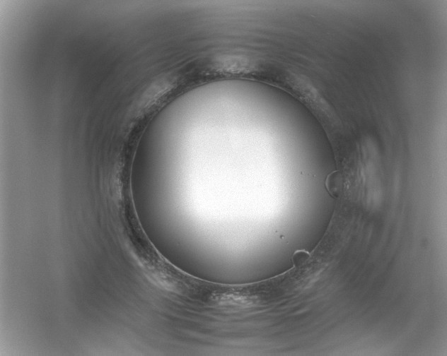 X0000054430635200508051833