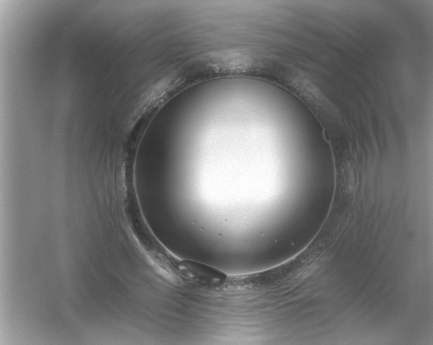 X0000054430638200508051834