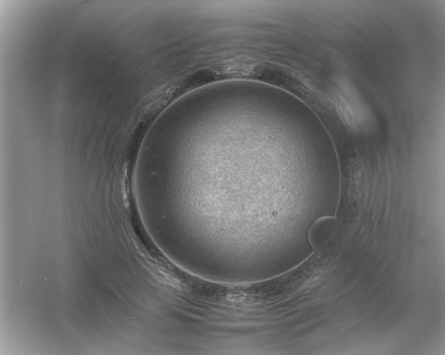 X0000054430641200508051834