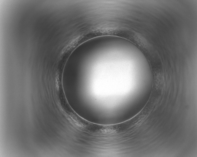 X0000054430644200508051834