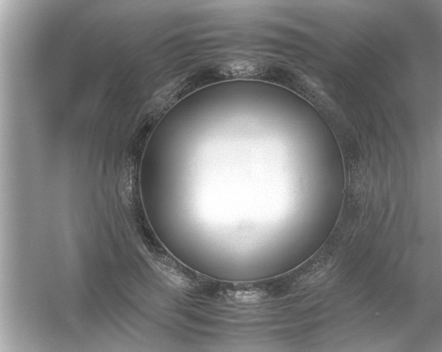 X0000054430645200508051834