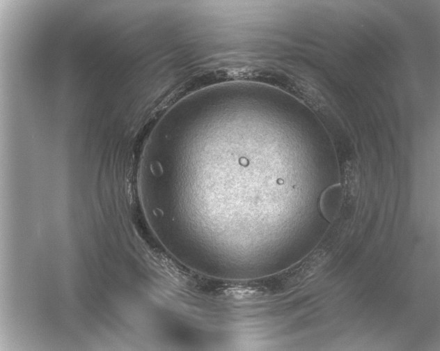 X0000054430650200508051834