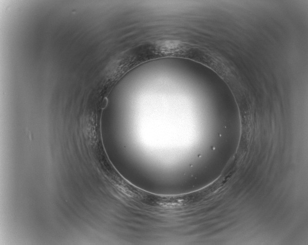 X0000054430653200508051834