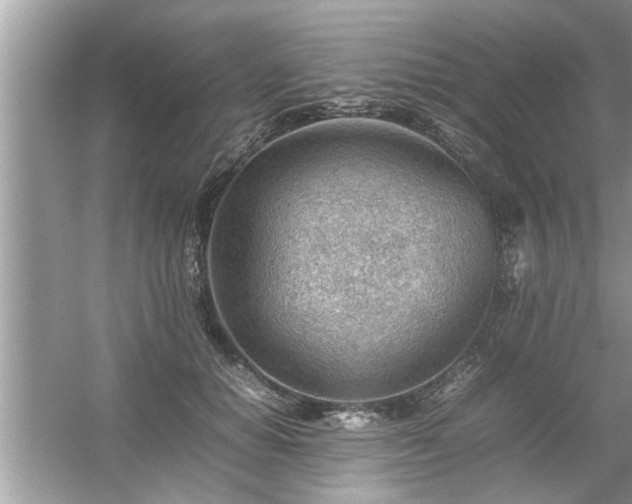 X0000054430654200508051834