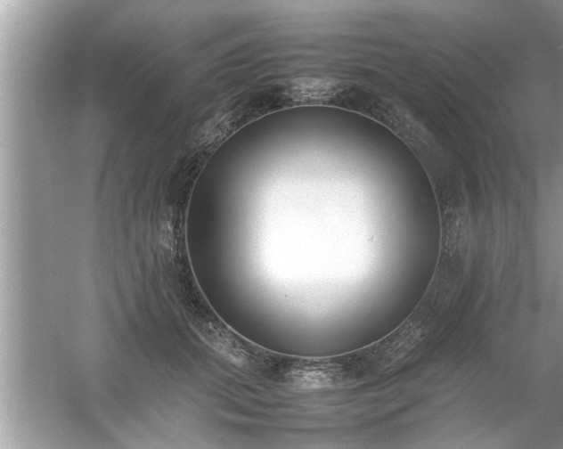 X0000054430655200508051834