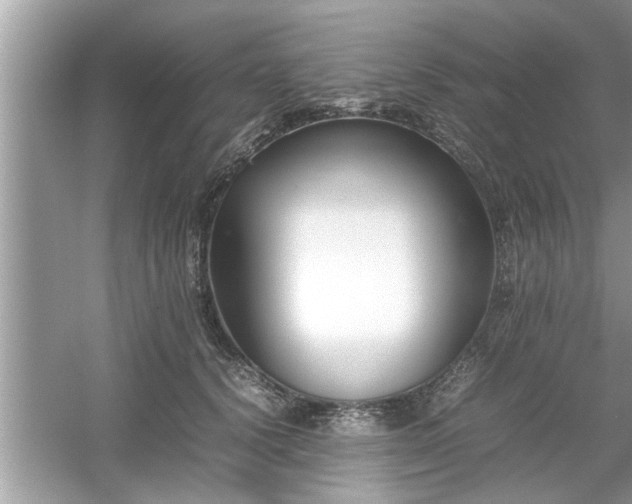 X0000054430656200508051834