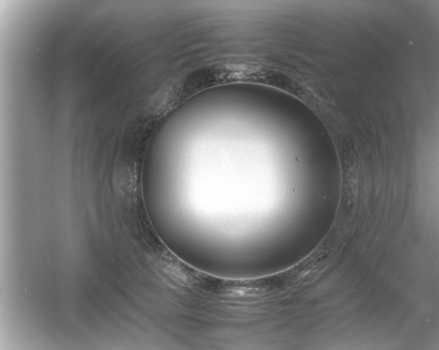 X0000054430657200508051834