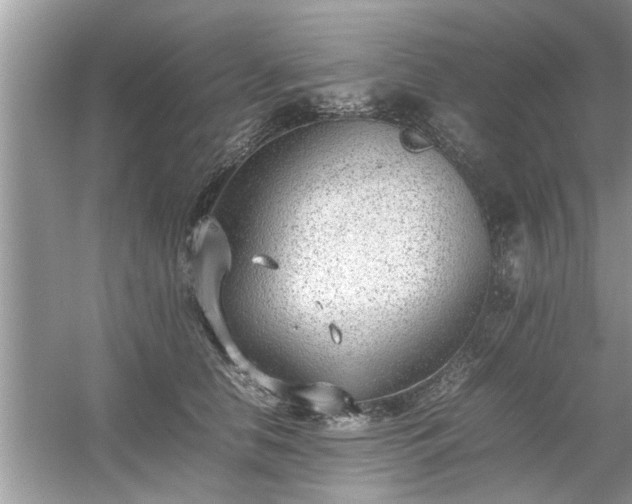 X0000054430658200508051834