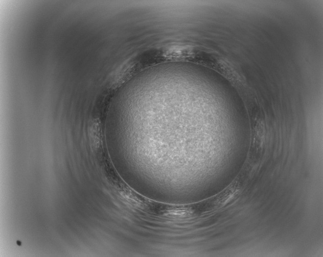 X0000054430659200508051834