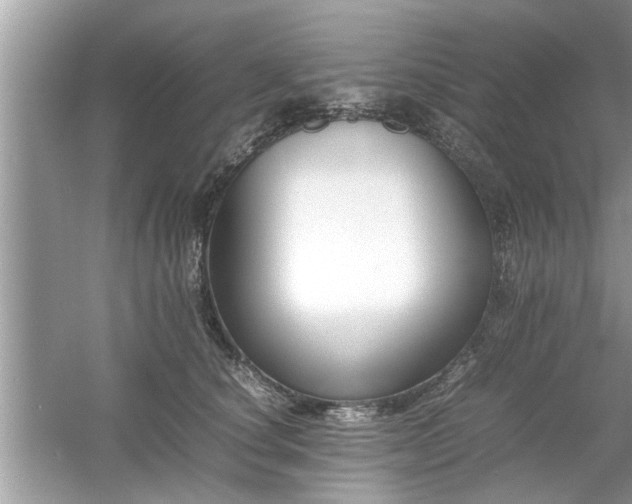 X0000054430660200508051834