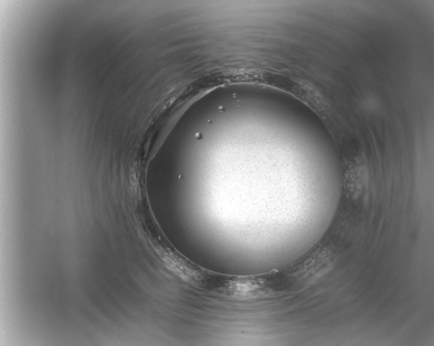 X0000054430662200508051834