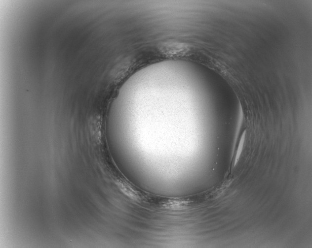 X0000054430664200508051834