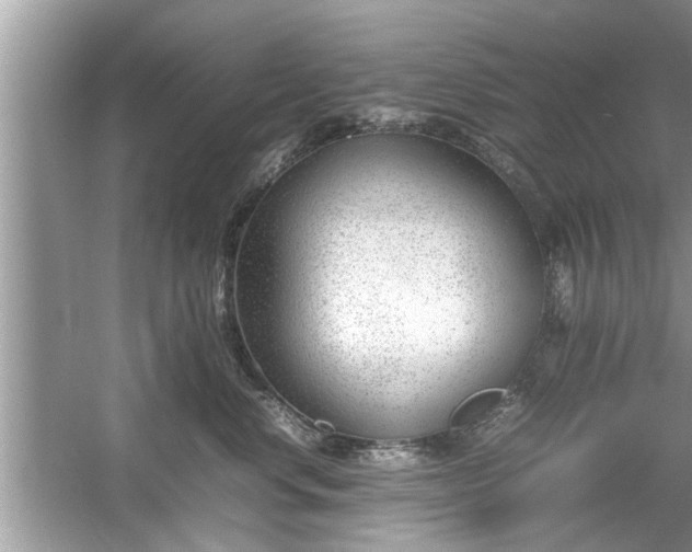 X0000054430668200508051834