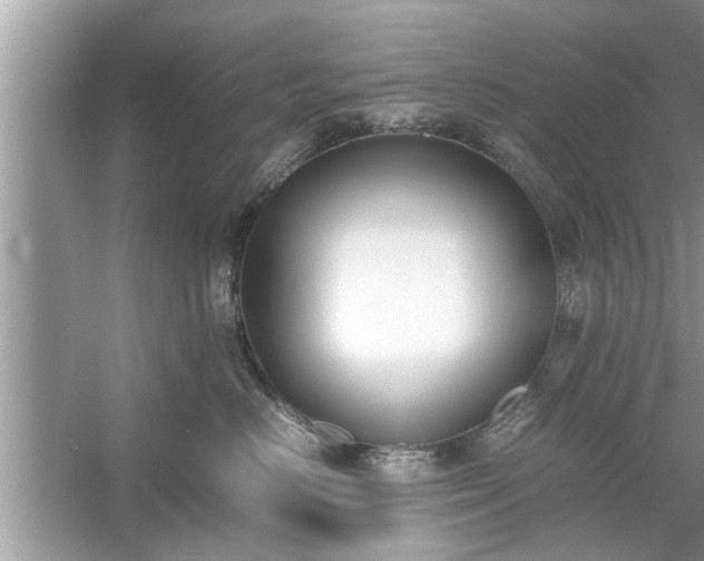 X0000054430670200508051834