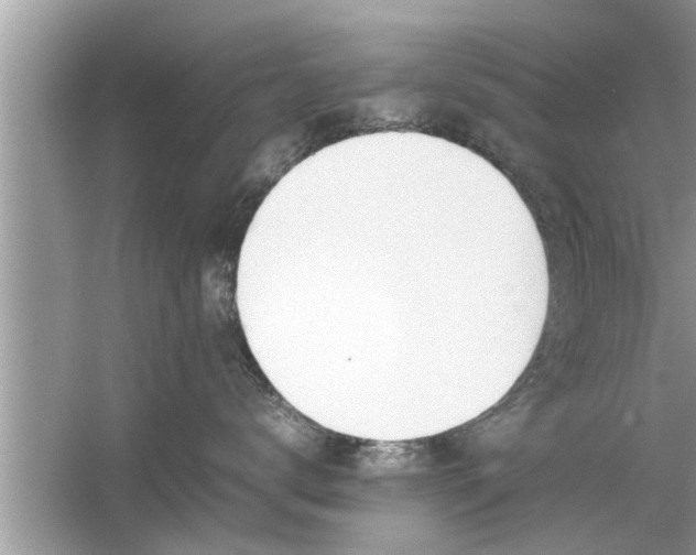 X0000054430672200508051834