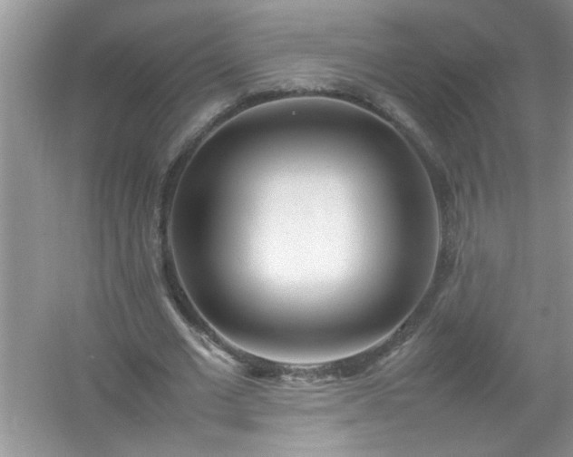 X0000054430677200508051833