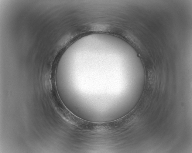 X0000054430682200508051833