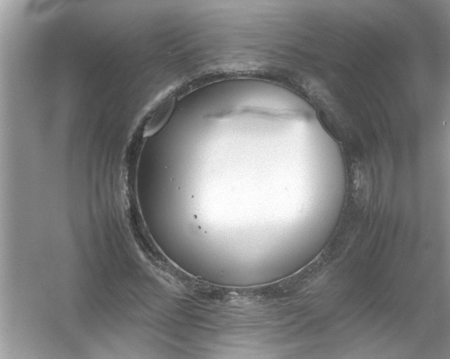 X0000054430684200508051833