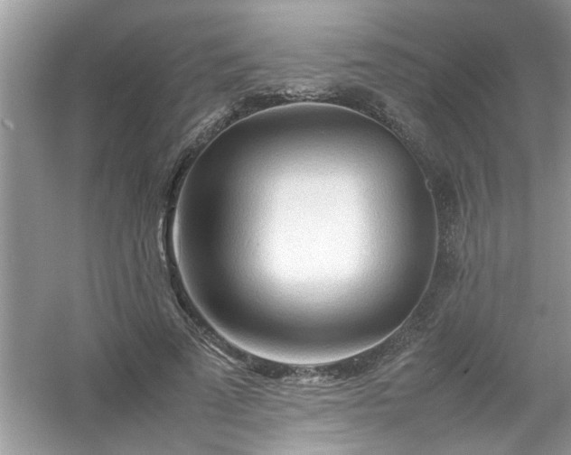 X0000054430689200508051833