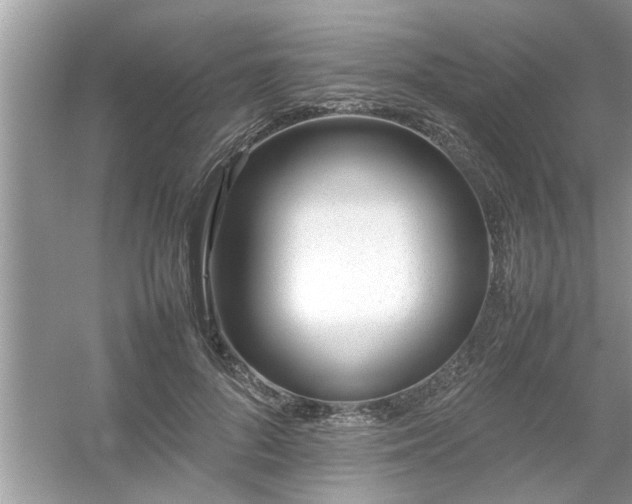 X0000054430696200508051833