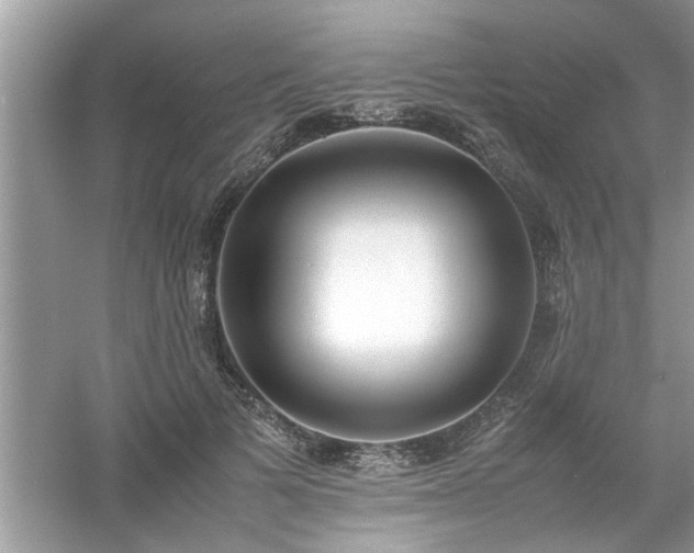 X0000054430697200508051833