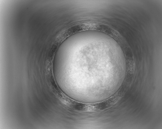 X0000054430701200508051833