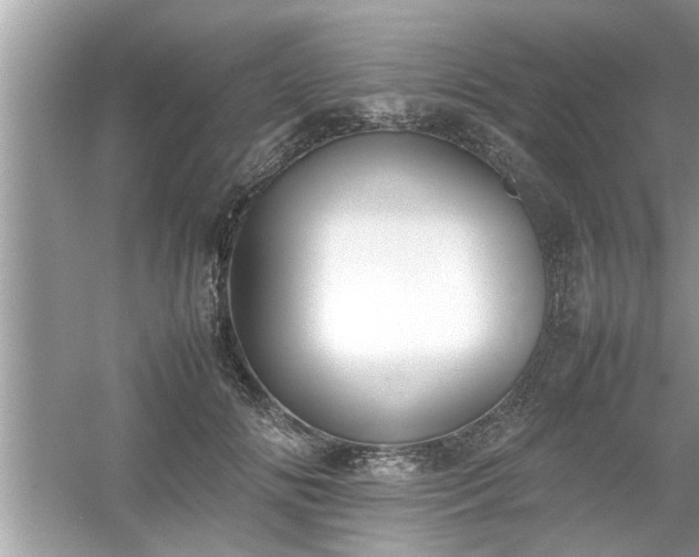 X0000054430702200508051833