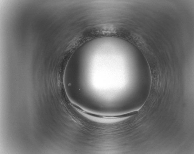 X0000054430704200508051833