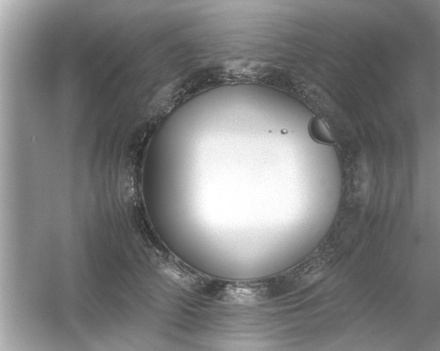 X0000054430706200508051833