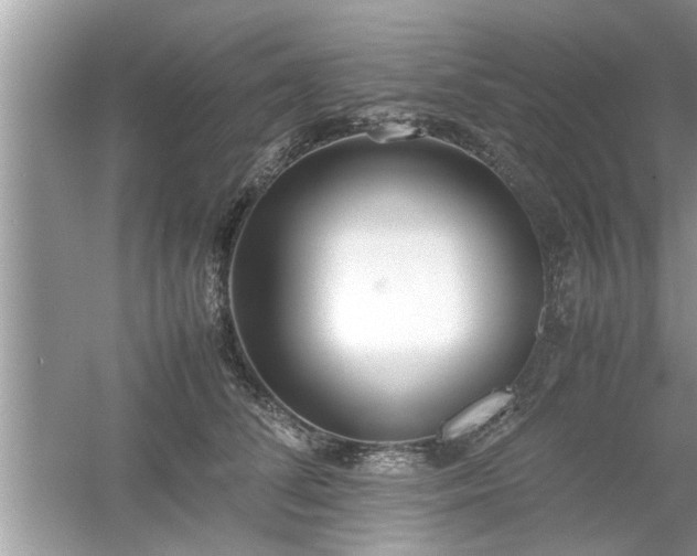 X0000054430708200508051833