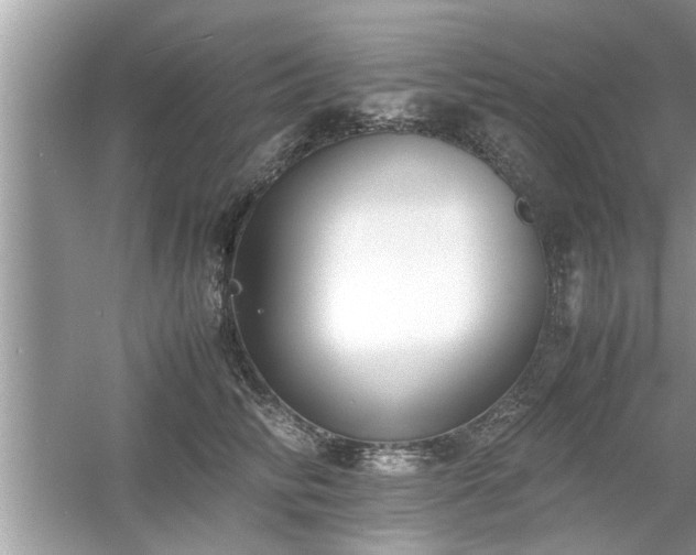 X0000054430710200508051833