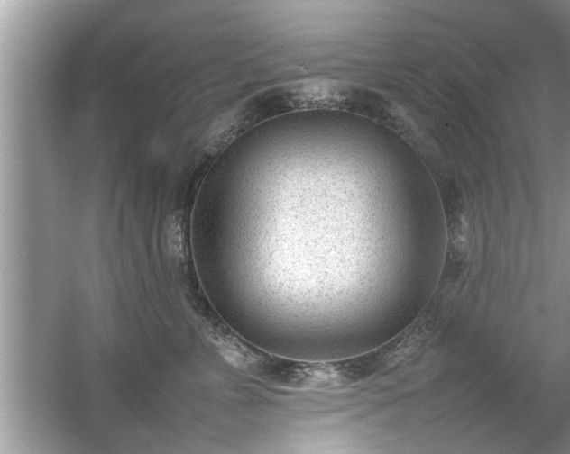 X0000054430715200508051833