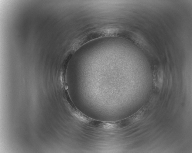 X0000054430718200508051833